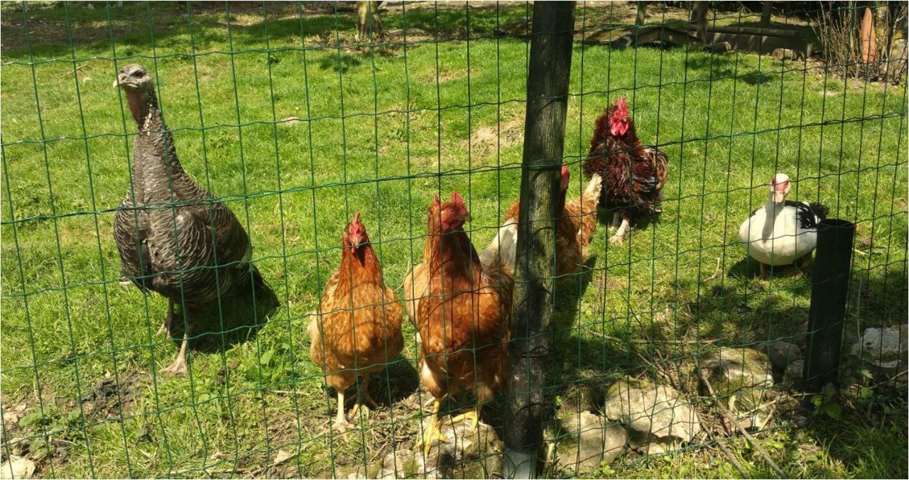 La Maison Lierue Fretigny Dış mekan fotoğraf